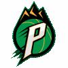派萨 派萨